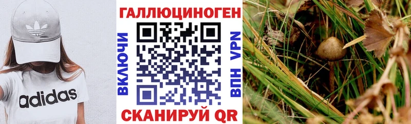 Псилоцибиновые грибы мицелий  Купить где  Озёрск 